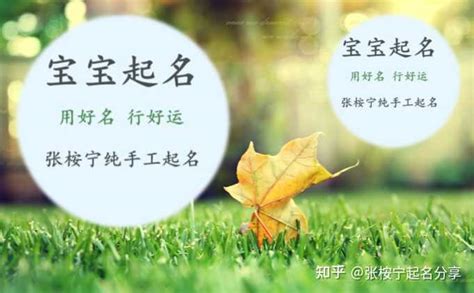 智慧的名字|如何给男孩子取个好听的智慧名字？